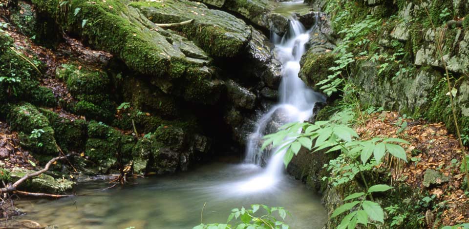Gorski kotar