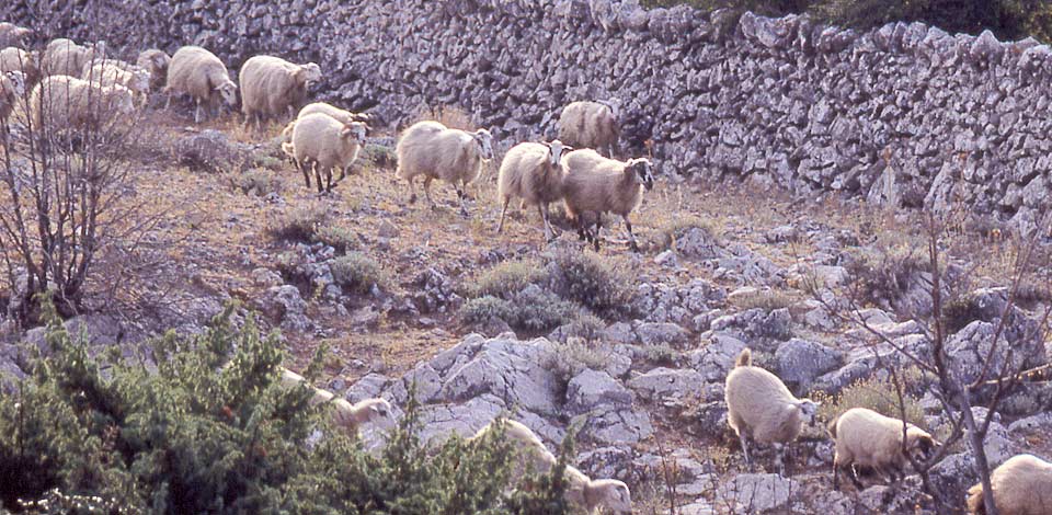 URLAUB IM LÄNDLICHEN, BERGIGEN KÜSTENHINTERLAND