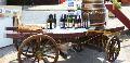 Vinofest