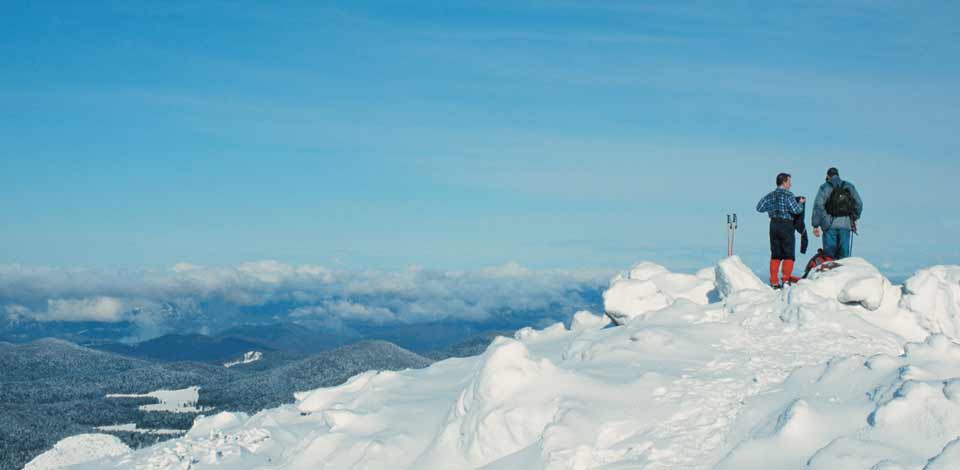 Schneesport
