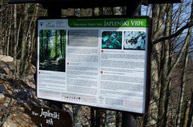 Japlenški vrh Forest Park - Delnice