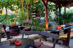 Spicy, colourful, delicious and healthy! These are the four words that can be used to describe Mexican food. In the Mex Cantina you can learn more about the rich tastes of Mexican cuisine and sample a variety of meat and vegetarian specialities.