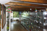 Frog Museum – Lokve