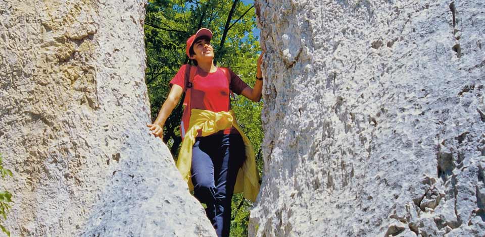 Hiking and Walking
