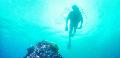 Diving