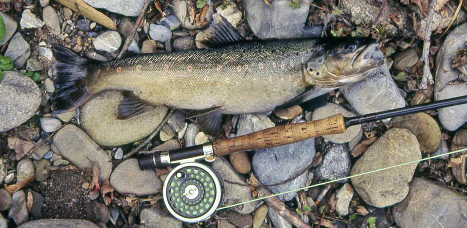 Fishing
