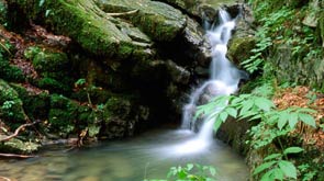 <a href="tourism/What_to_do/Vacation">A perfect day in Kvarner</a>