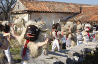 I SUONATORI DI CAMPANACCI DI HALUBAJ