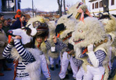 djecji karneval