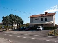 Veliki izbor pizza iz krušne peći.
