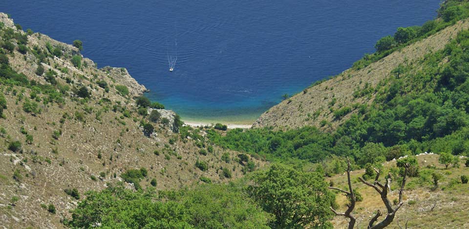 Pravne napomene